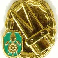 thl_abzeichen.jpg