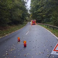 baum auf Straße 3.jpeg